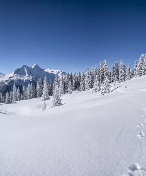 Station de ski Le Mont Dore
